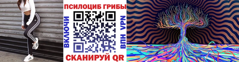 МЕГА онион  Лебедянь  Псилоцибиновые грибы MAGIC MUSHROOMS  купить наркоту 